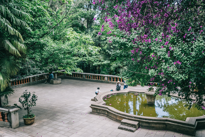 滇池风景区(海埂公园) 昆明 走进云南大学,就像走进了一座花园.