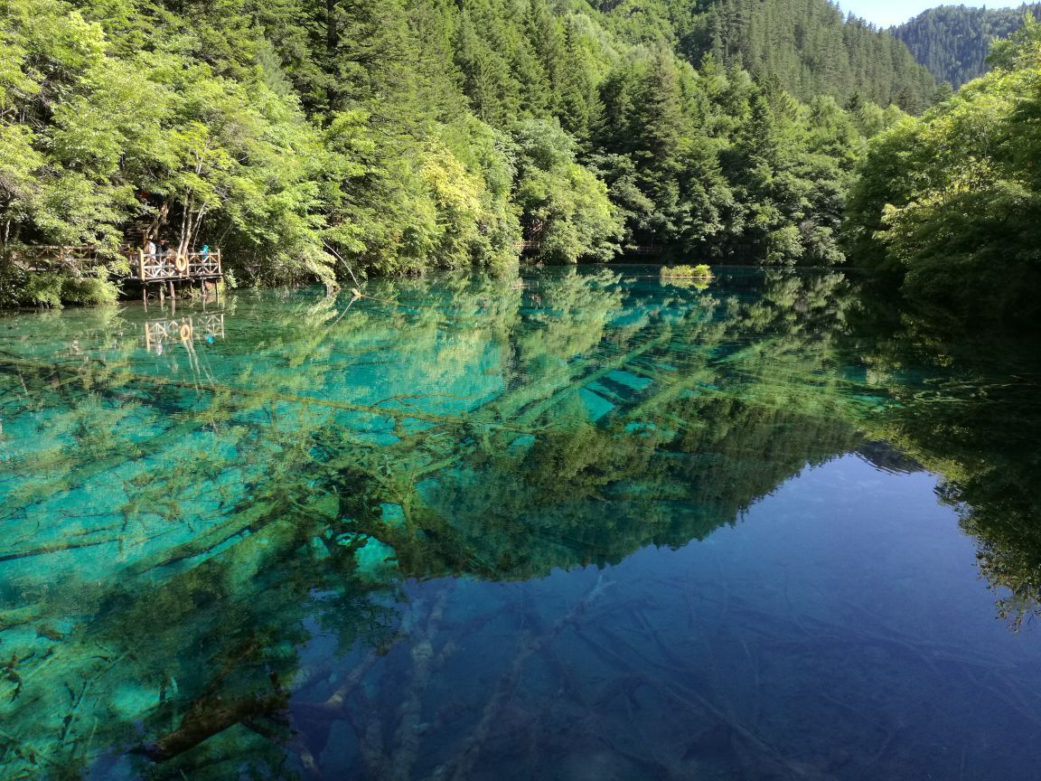 2019五彩池_旅遊攻略_門票_地址_遊記點評,九寨溝旅遊景點推薦 - 去