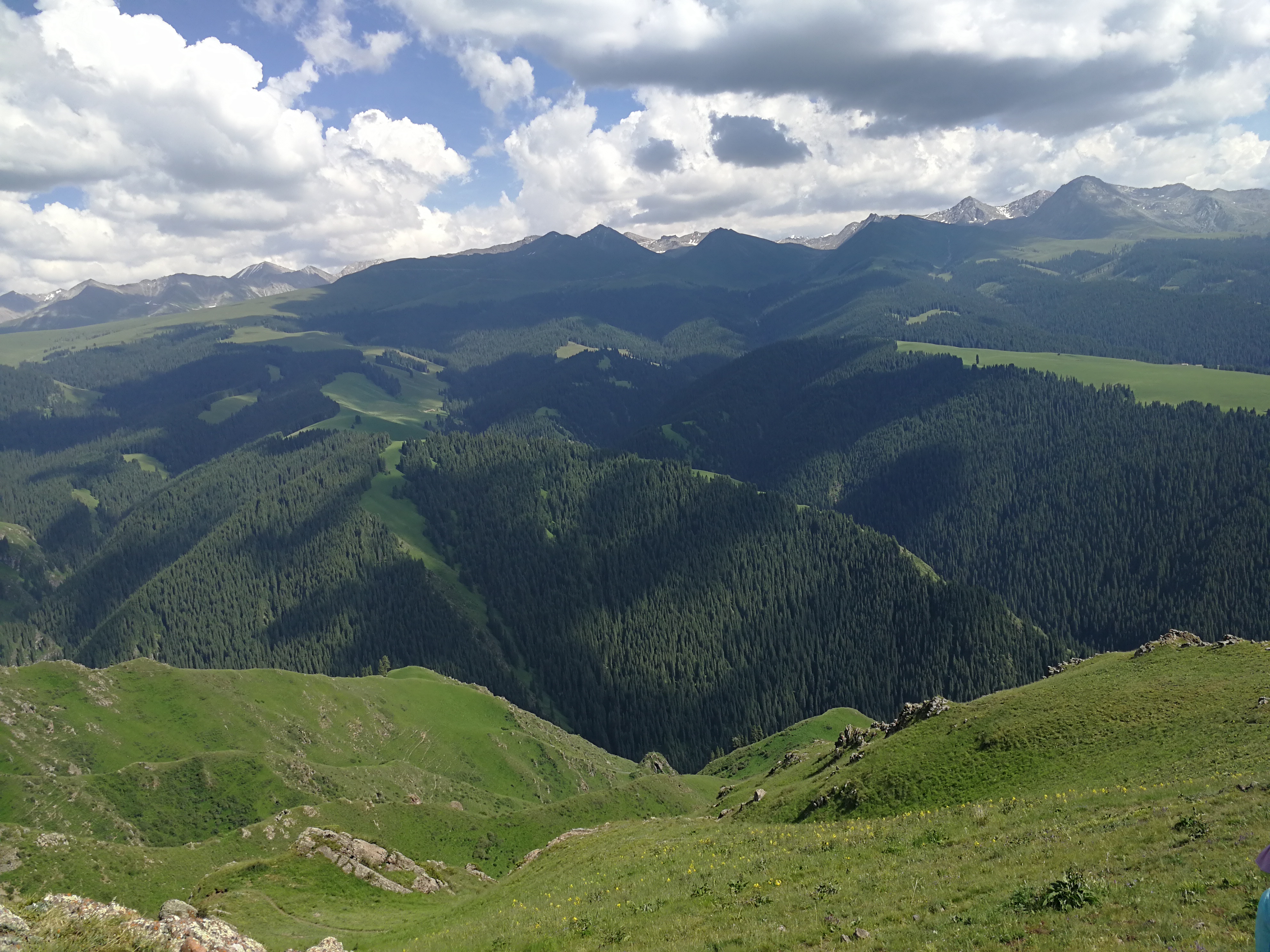【携程攻略】伊犁喀拉峻草原适合情侣出游旅游吗,喀拉峻草原情侣出游