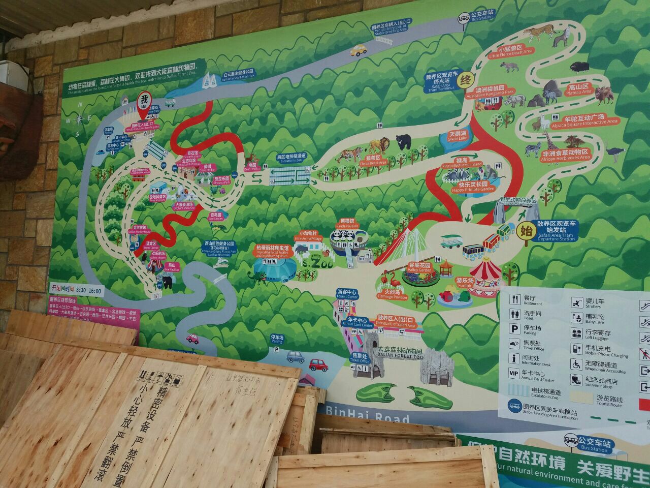东胜动物园游览图图片