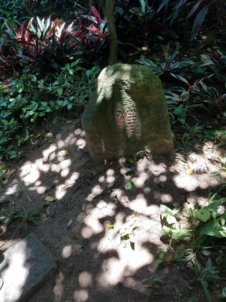 ȴֹ㳡