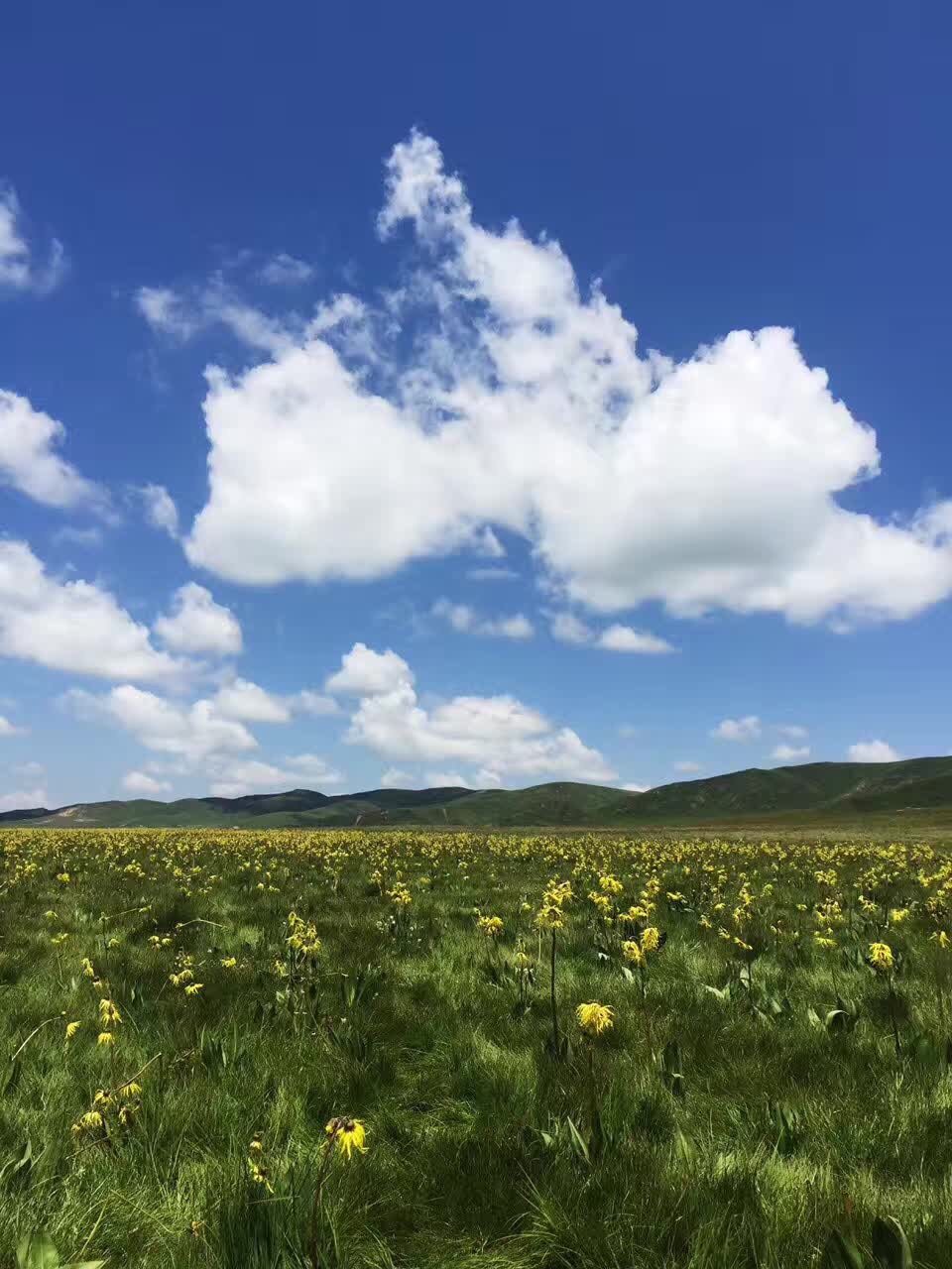 红原—若尔盖大草原