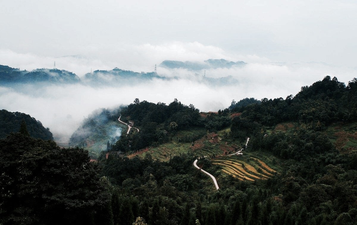 2019蒙頂山_旅遊攻略_門票_地址_遊記點評,雅安旅遊景點推薦 - 去哪兒