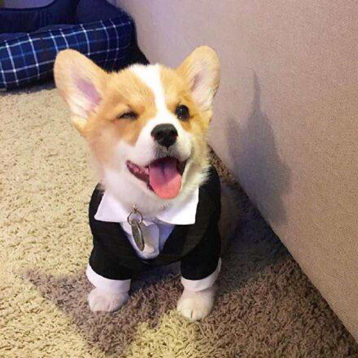 koi thé(漳州龙海美一城店)