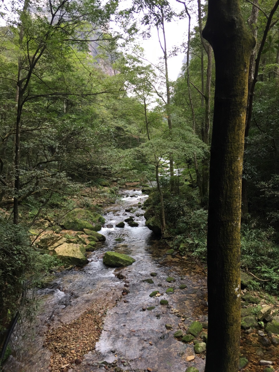 金鞭溪大峡谷旅游景点攻略图