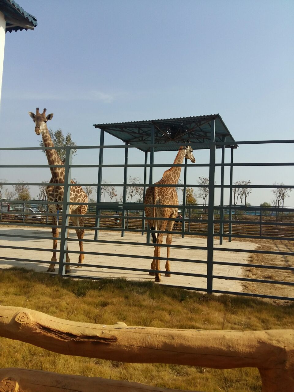 2019德州動植物園_旅遊攻略_門票_地址_遊記點評,德州旅遊景點推薦