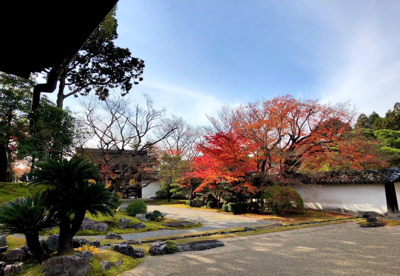 醍醐寺分为三大区域,入口处的三宝院,以为平平无奇,脱鞋进入表书院里