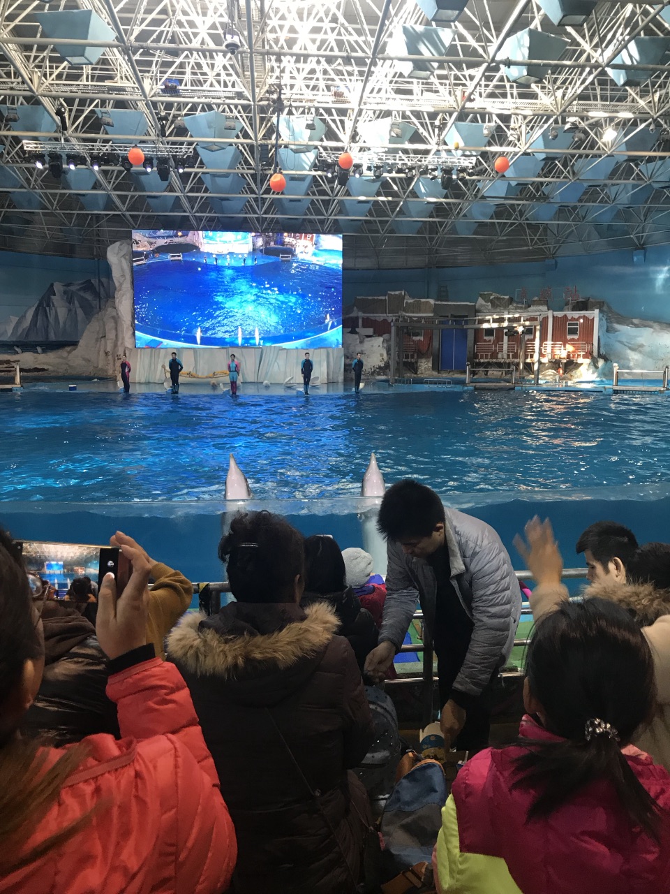 【攜程攻略】青島青島海昌極地海洋公園景點,現在旅遊淡季人少,海洋館