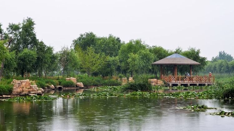 南京龙口公园攻略-龙口公园门票价格多少钱-团购票价预定优惠-景点