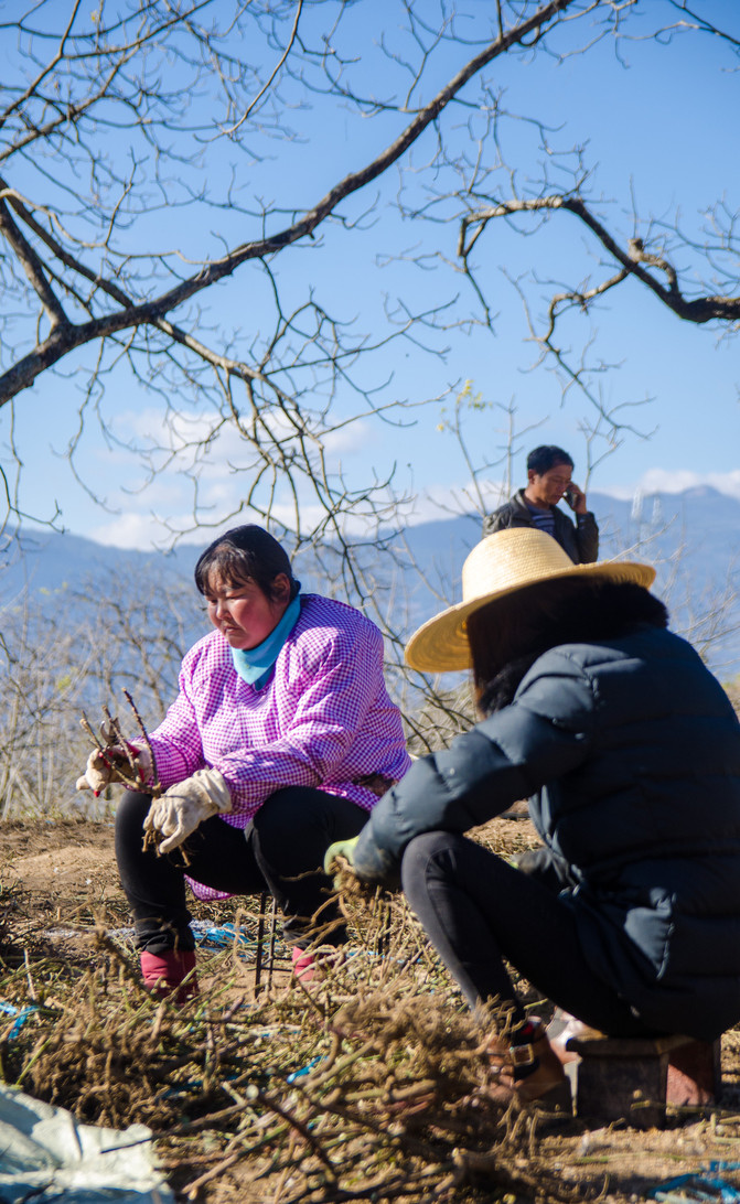 汤光村人口(3)