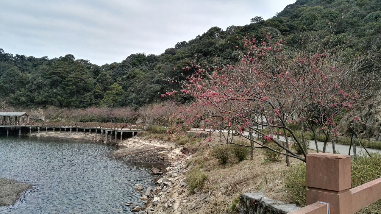 從化旅遊景點推薦 - 去哪兒攻略社區