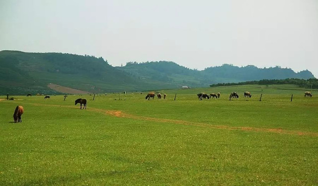 里水草场人口_石家庄草场街小学图片(2)