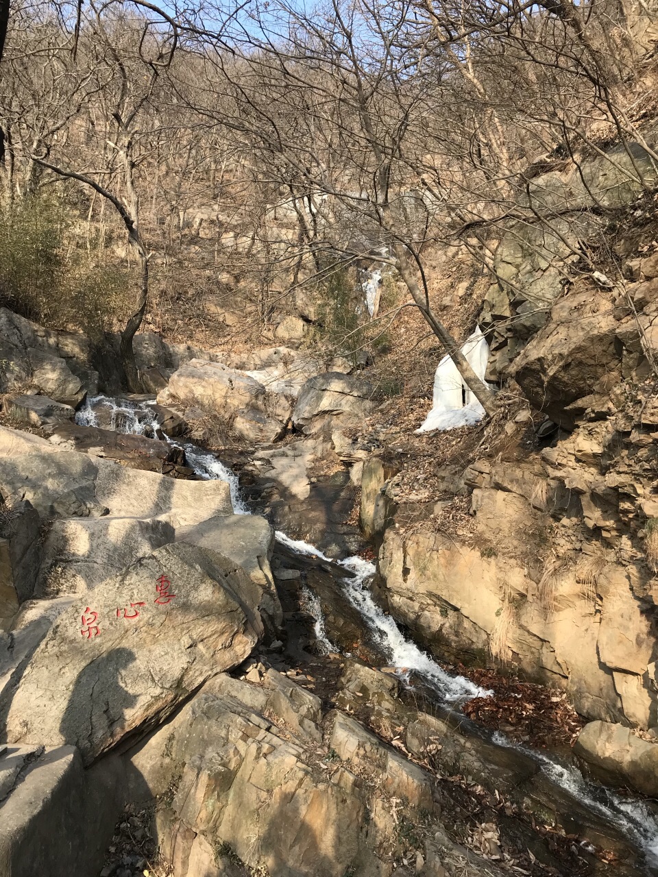 連雲港花果山好玩嗎,連雲港花果山景點怎麼樣_點評_評價【攜程攻略】