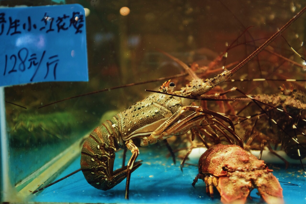 红花膏米蟹螃蟹的美味不需要更多的赘述了在这里要强烈的给底下的糯米