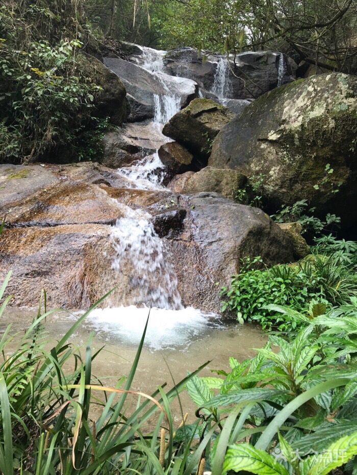 北流大容山森林公園好玩嗎,北流大容山森林公園景點怎麼樣_點評_評價