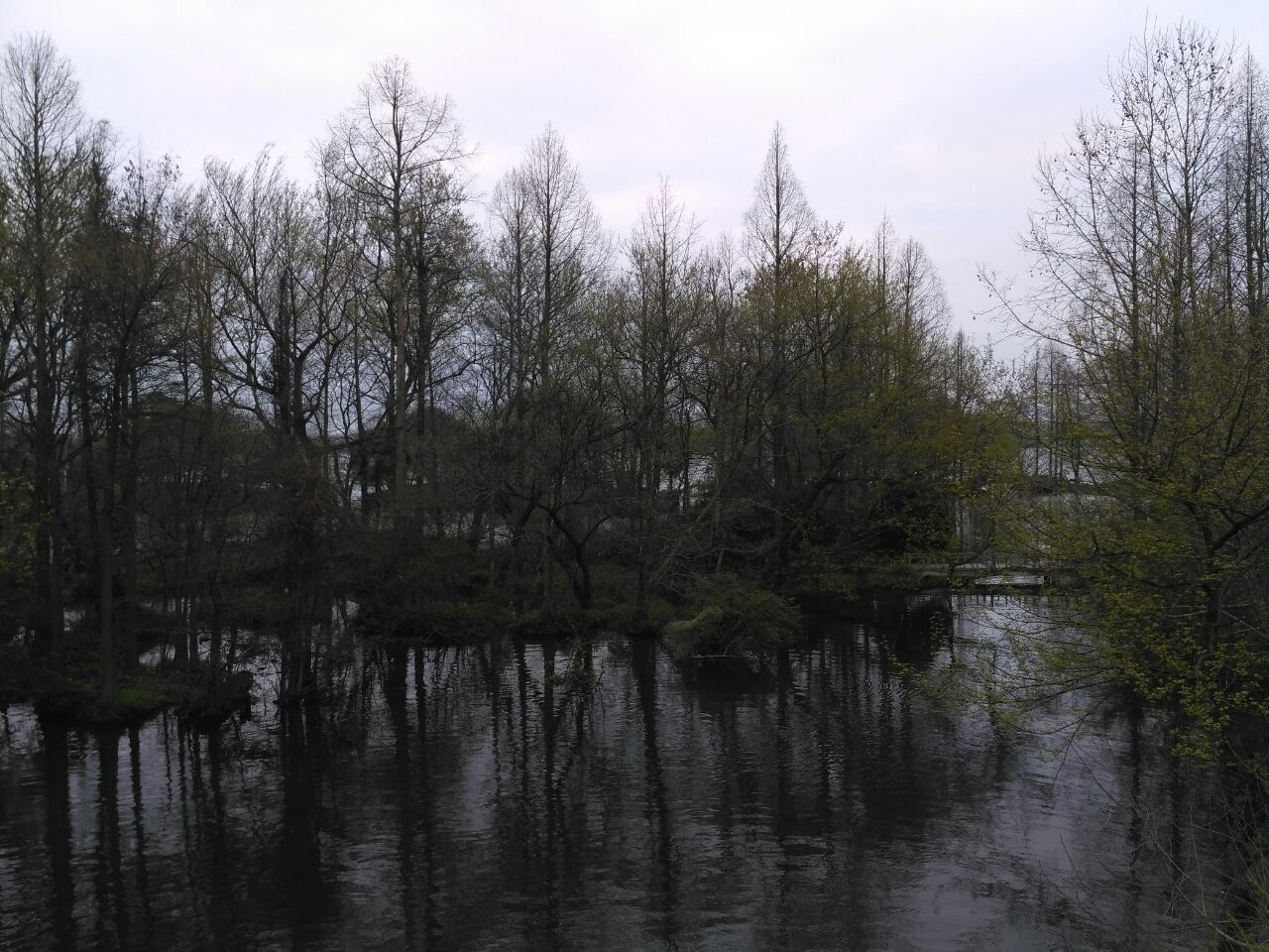 芝山岩健走步道
