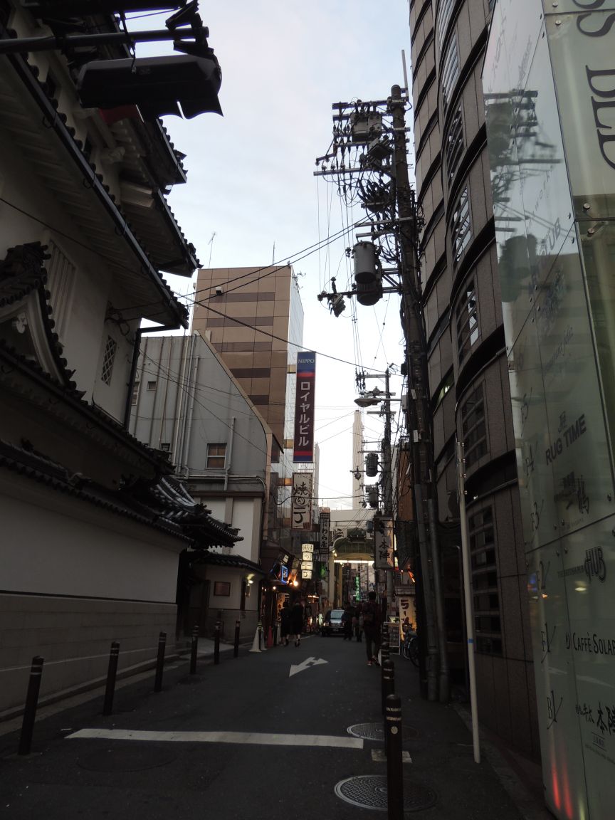 2023御堂筋游玩攻略,.似,相比入秋的时候应该很.【去哪儿攻略】