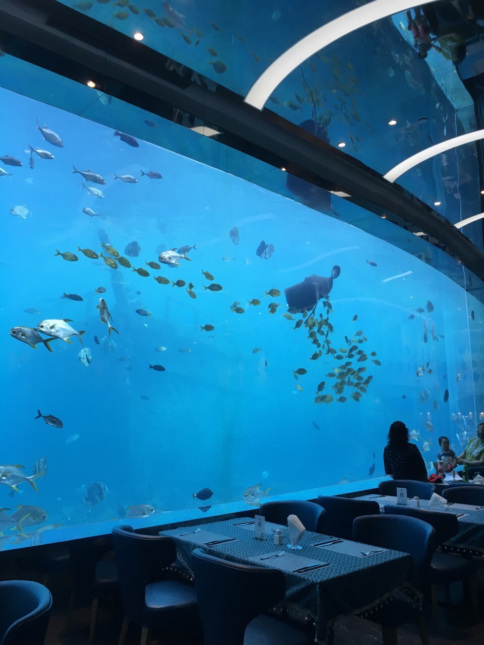 三亚瑞德姆美人鱼海底演艺主题餐厅(亚龙湾店)好吃吗,瑞德姆美人鱼