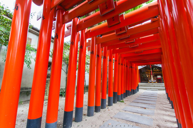 日本 让春日在烈阳下优美燃尽 携程氢气球