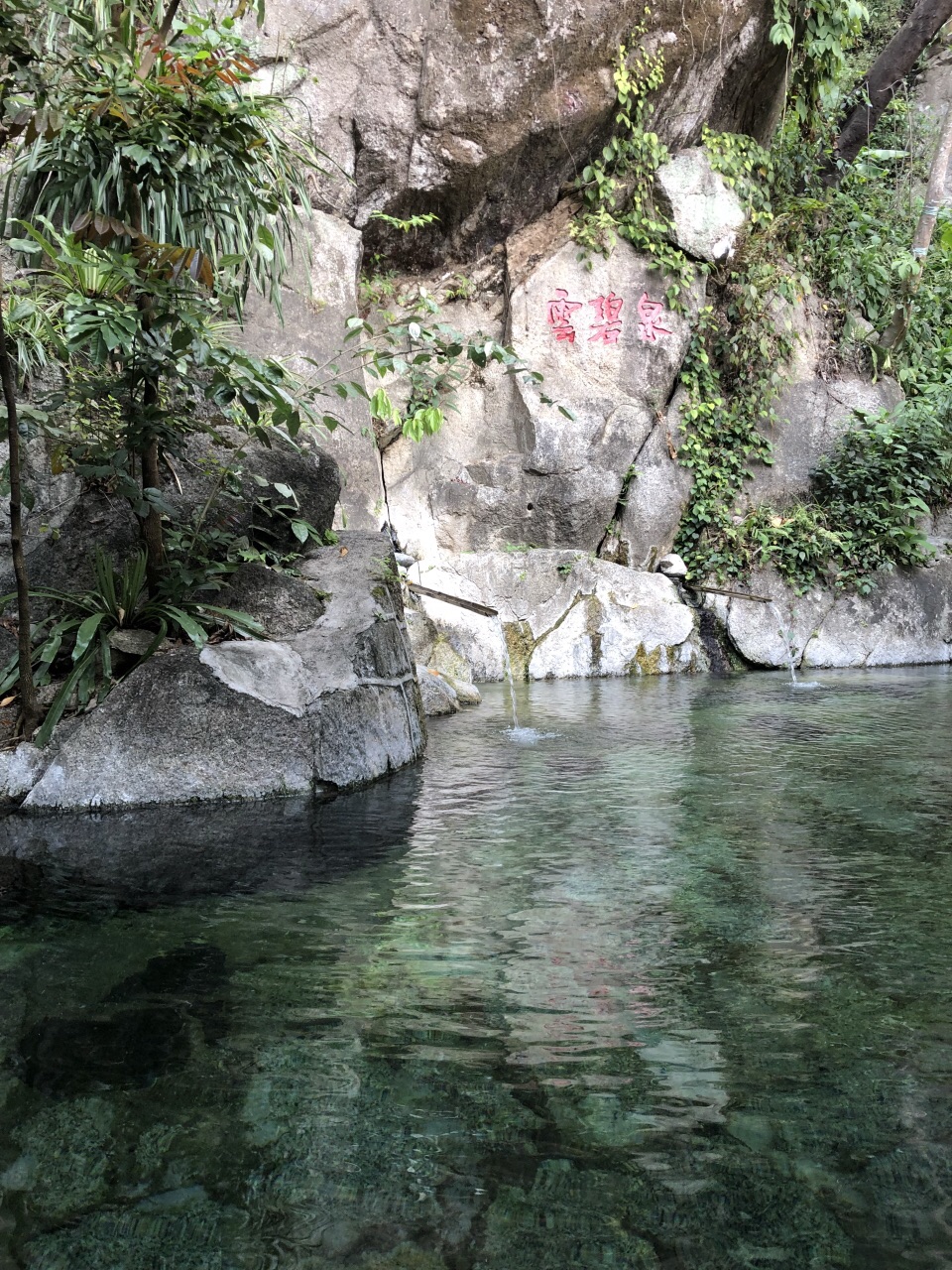 【携程攻略】保山樱花谷景区景点,淡季人少,体验感更好,最里面最热的