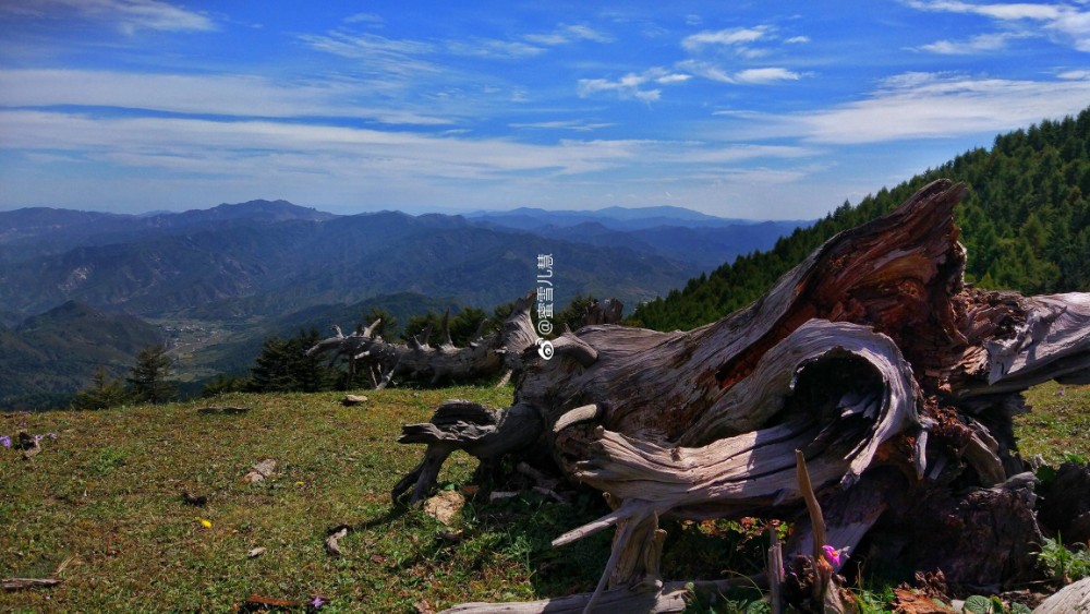 娄桥云顶山风景区图片