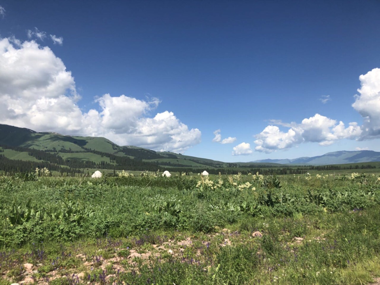 2019那拉提旅遊風景區_旅遊攻略_門票_地址_遊記點評,伊犁旅遊景點