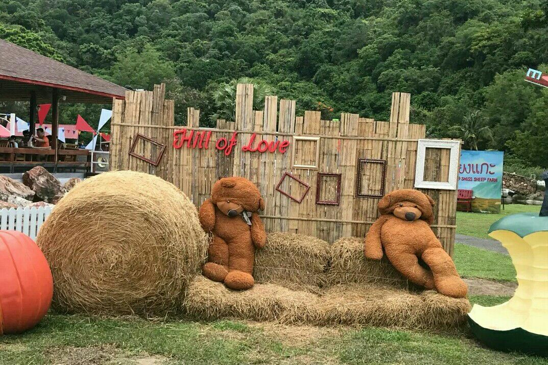 华欣瑞士绵羊牧场