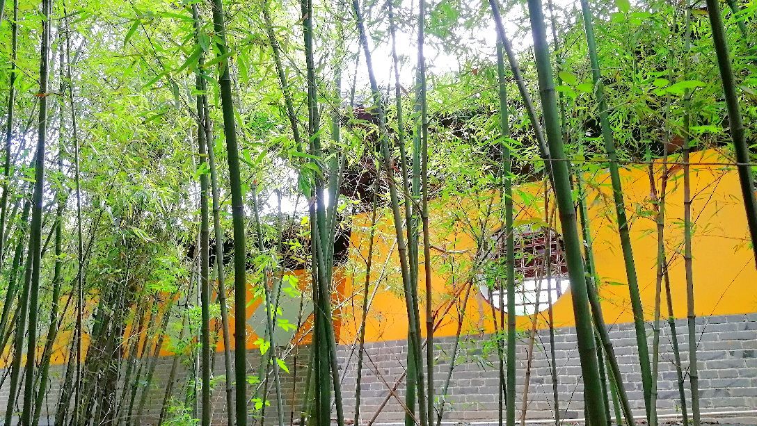 竹林寺徐州八大古寺之一坐落於徐州市和平大橋東首的駱駝山距今已有一