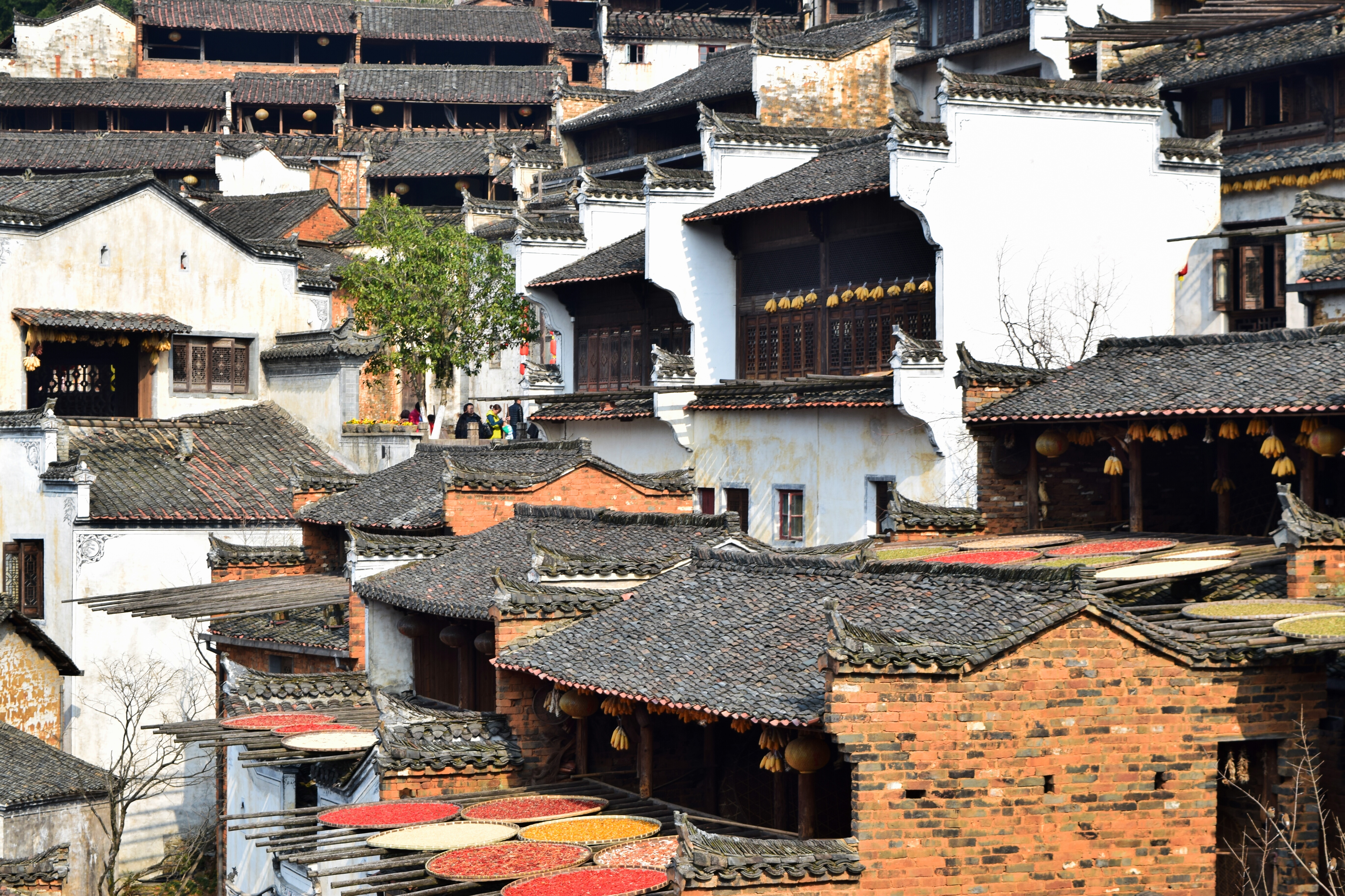 篁岭,位于江西省上饶市婺源县东北部,是著名的"晒秋"文化起源地,也是