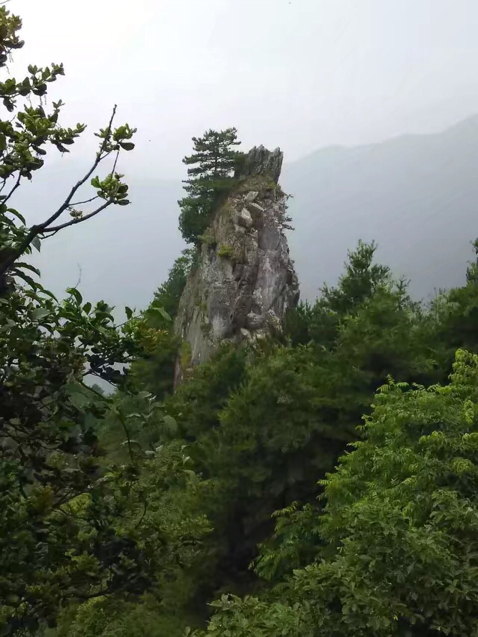 大悟天台山森林公园图片