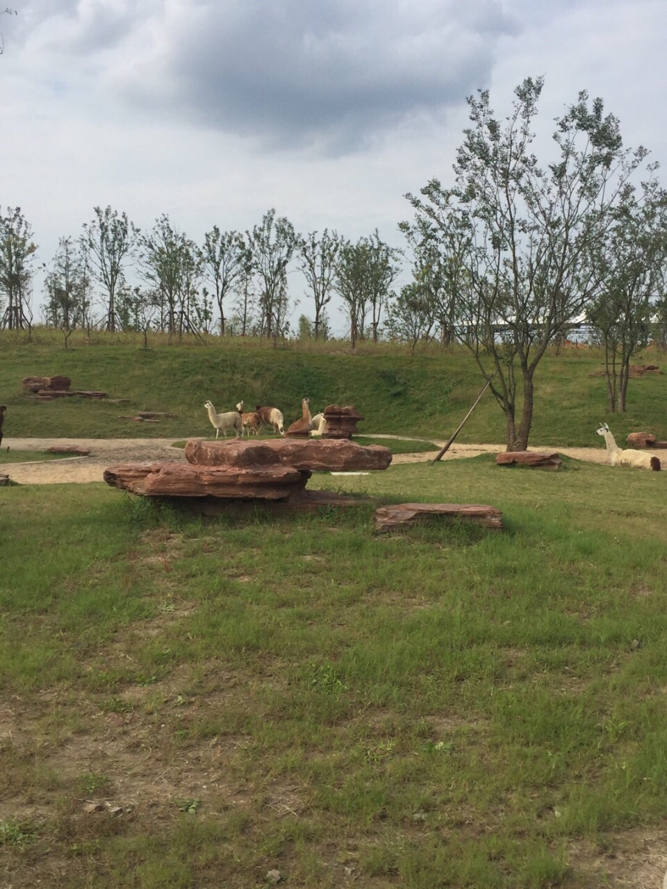 2020南通森林野生動物園-旅遊攻略-門票-地址-問答-遊記點評,南通旅遊