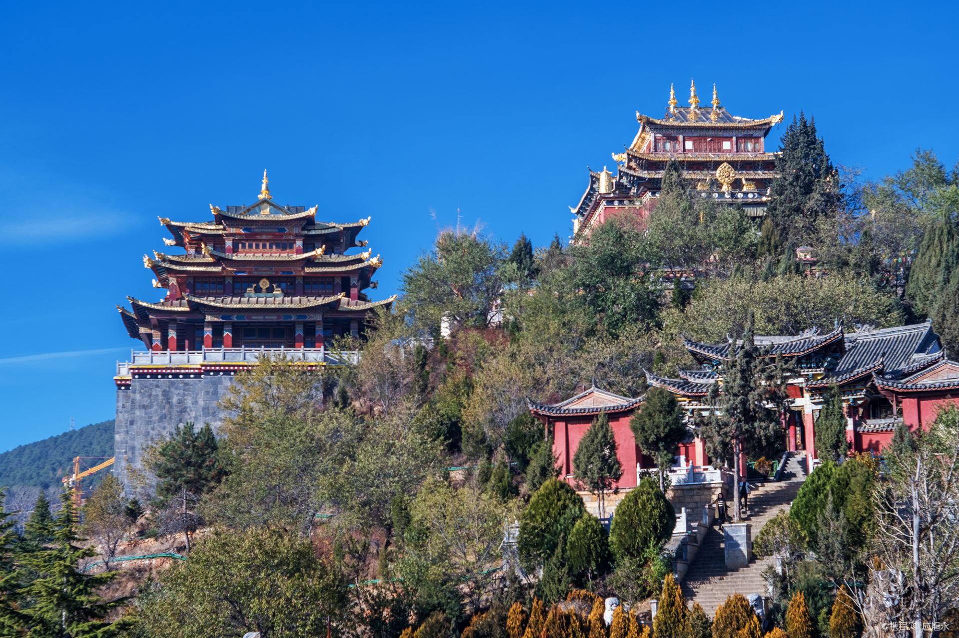 香格里拉龟山公园攻略,香格里拉龟山公园门票/游玩攻略/地址/图片