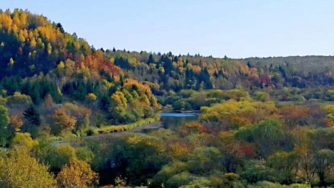 2022湯旺河國家森林公園遊玩攻略,美麗的小興安嶺,五花山.每.