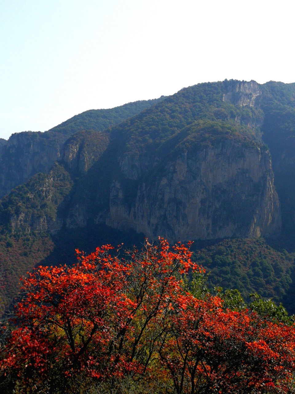 白山四方山风景区图片