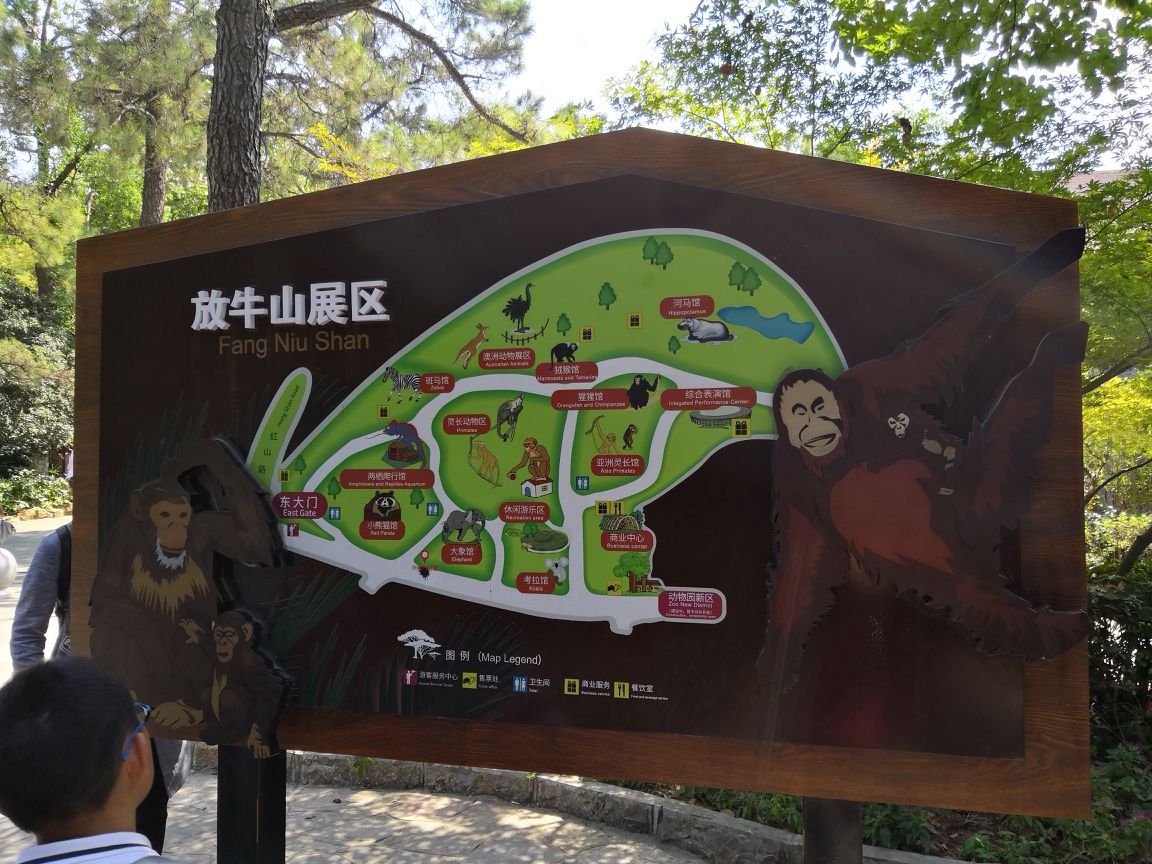 2023休宁大熊猫生态乐园游玩攻略,...一个动物园了，交通也不是...【去哪儿攻略】