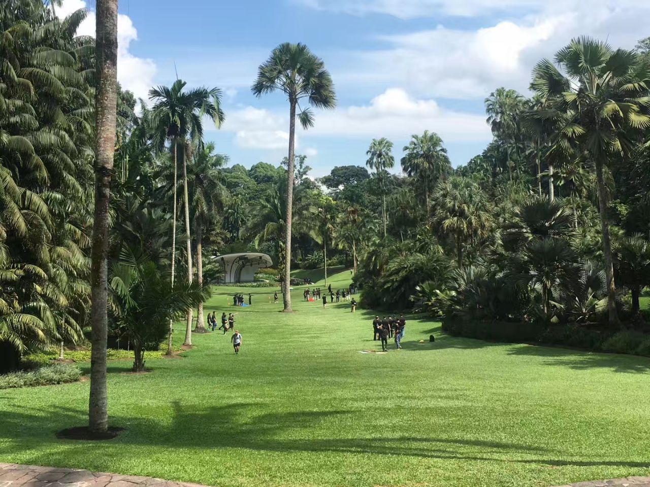 滨海湾花园的超级树，新加坡用人工创造的又一大自然奇观，自然|大自然|海湾花园|奇观_新浪新闻