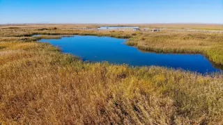 2-Day Minqin Tour: Explore Rui'an Castle's history, Qingtu Lake's ecology and Wuwei Desert Park