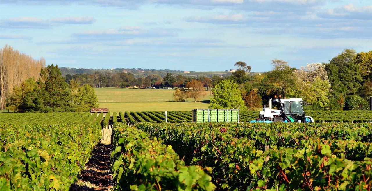 玛歌酒庄chateau margaux