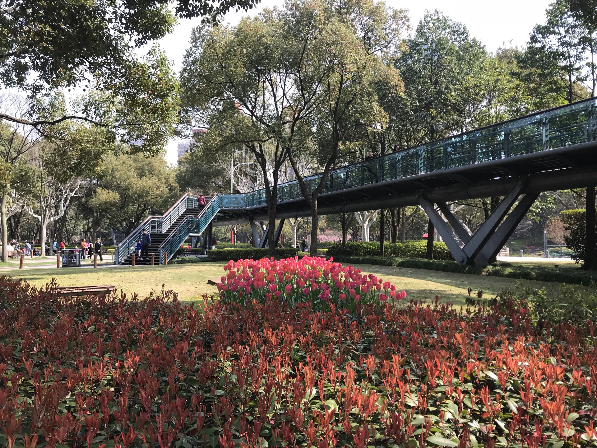 2019上海滨江森林公园-旅游攻略-门票-地址-问答-游记点评，上海旅游旅游景点推荐-去哪儿攻略