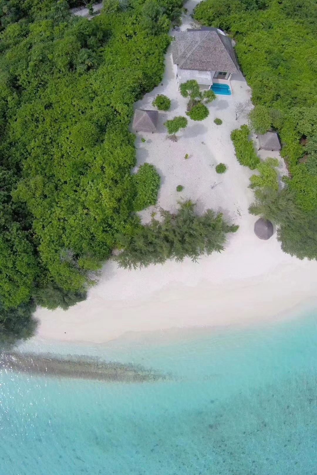 马尔代夫神仙珊瑚岛怎么样？好玩吗？多少钱？看马代海岛体验官的点评和攻略-神仙珊瑚岛旅游攻略-游记-去哪儿攻略