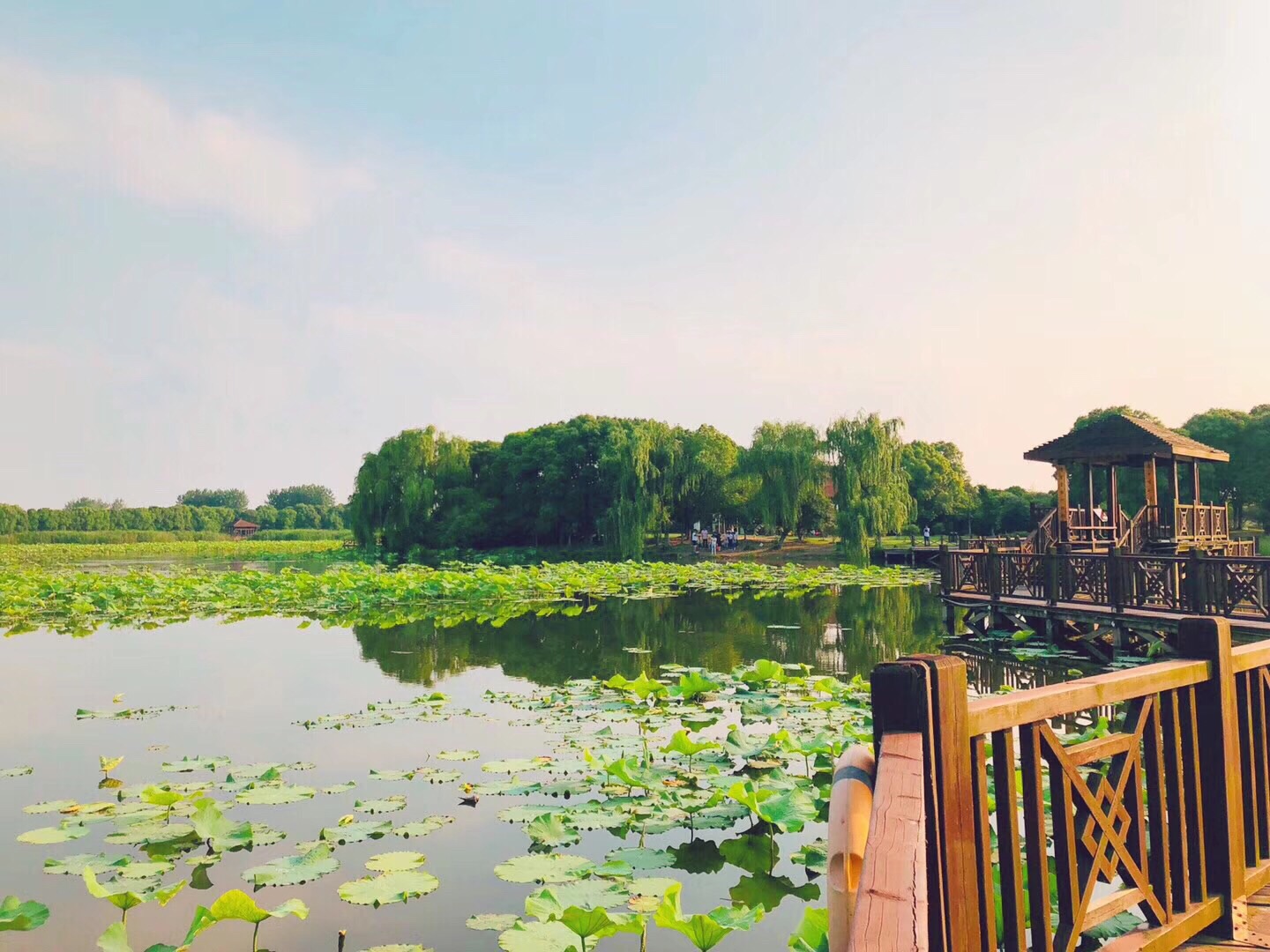 吉林夏季避暑好去处 北湖湿地公园旅游攻略 免费语音导游|北湖|湿地公园|旅游攻略_新浪新闻
