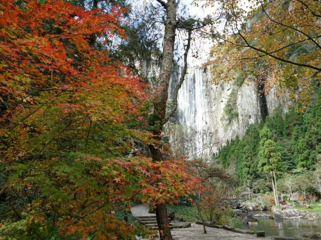 大会岭红枫古道