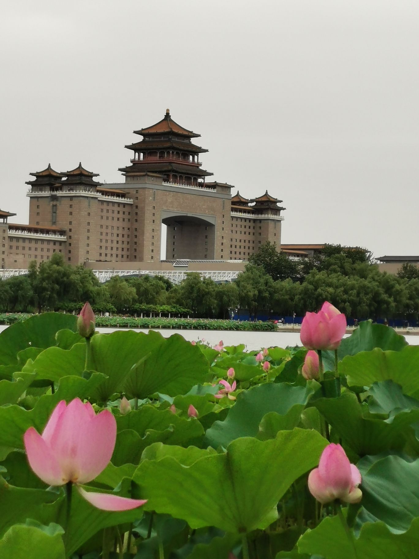 2020莲花池公园-旅游攻略-门票-地址-问答-游记点评，北京旅游旅游景点推荐-去哪儿攻略