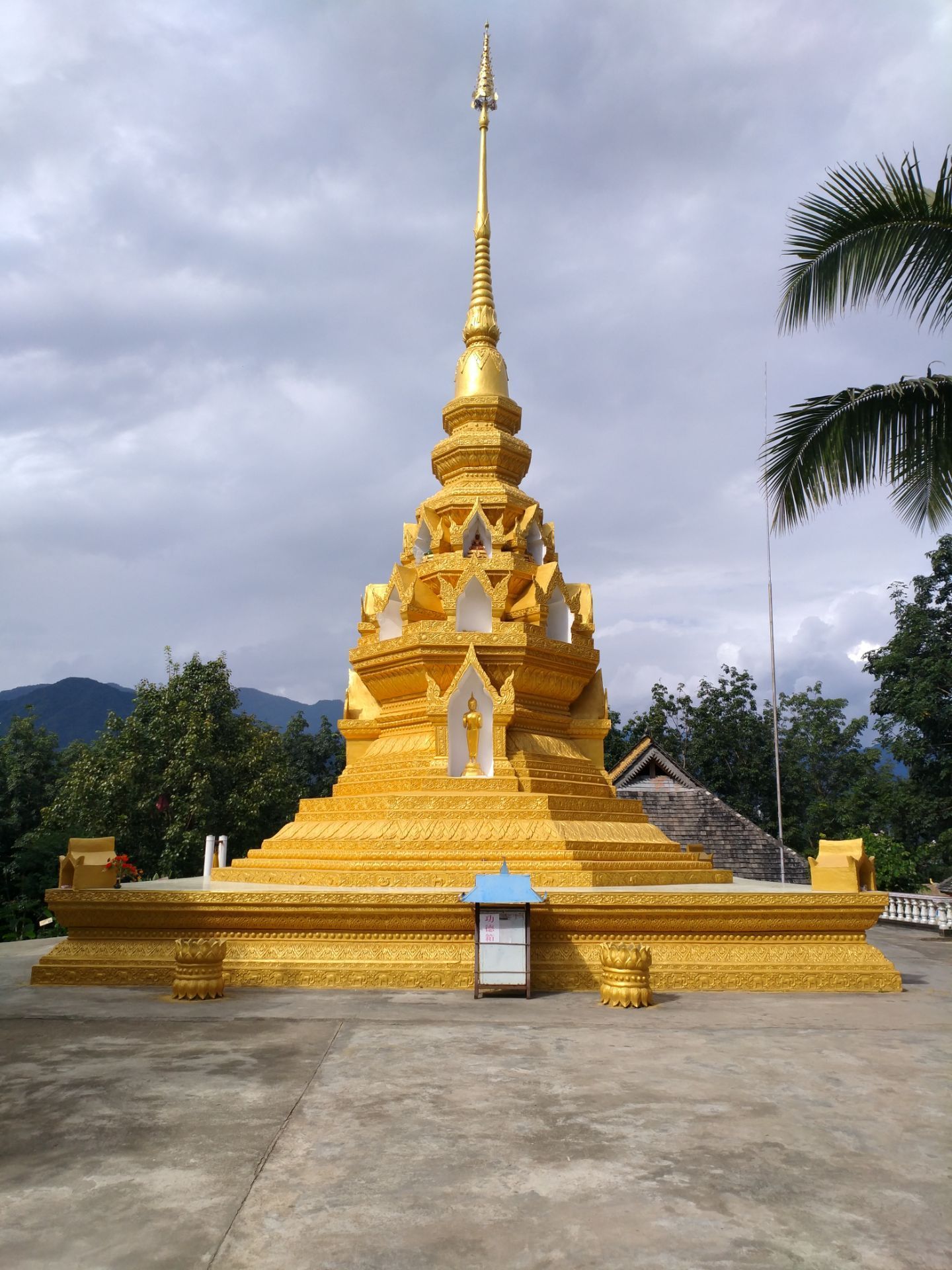 独树成林公园是打洛最有名的景点,公园面积不大,景色不错