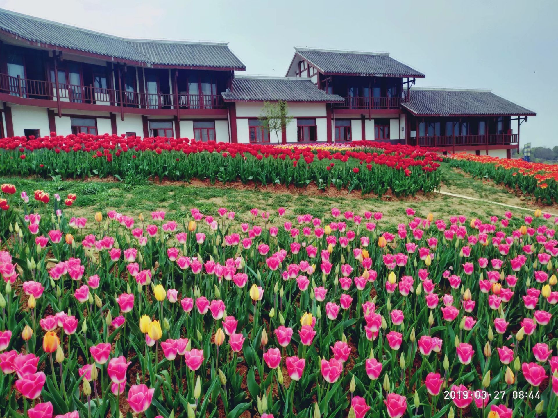 2021金卉庄园玩乐攻略,金卉庄园是孝感最有名的景点.【去哪儿攻略】