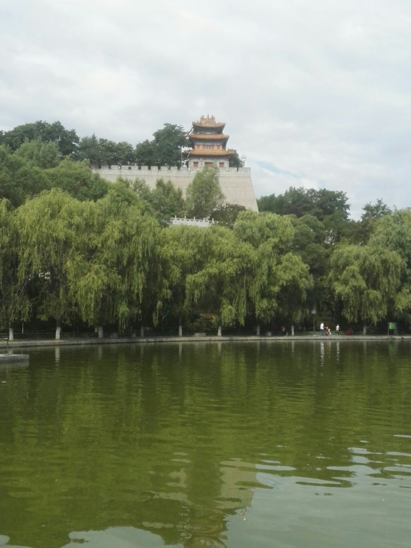 柳湖公园liuhu park
