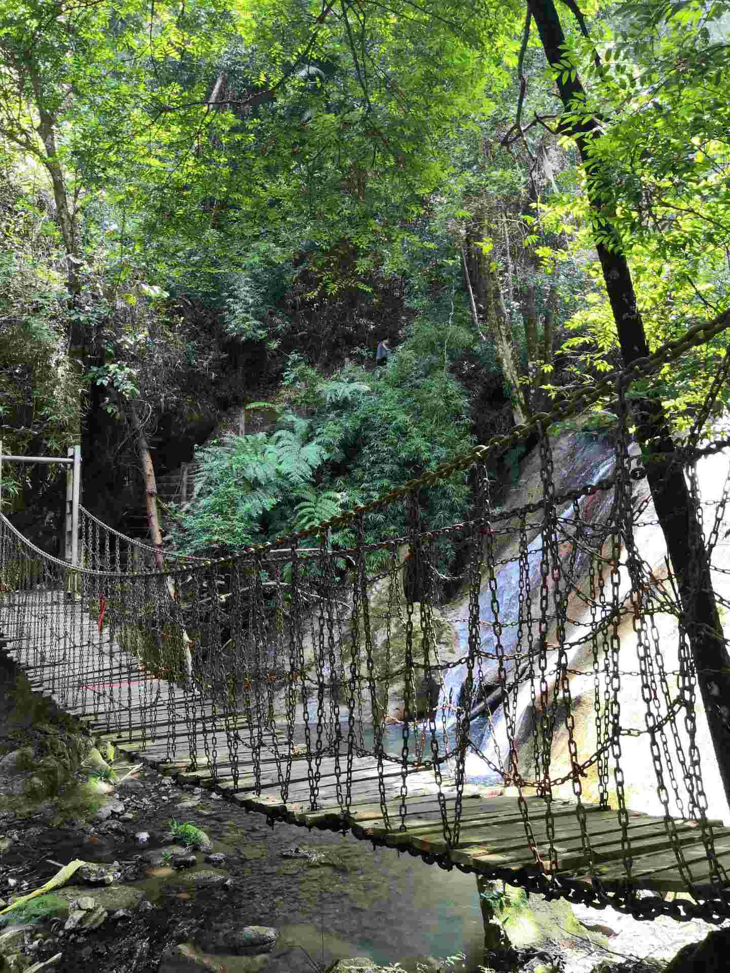 新丰江国家森林公园桂山风景区
