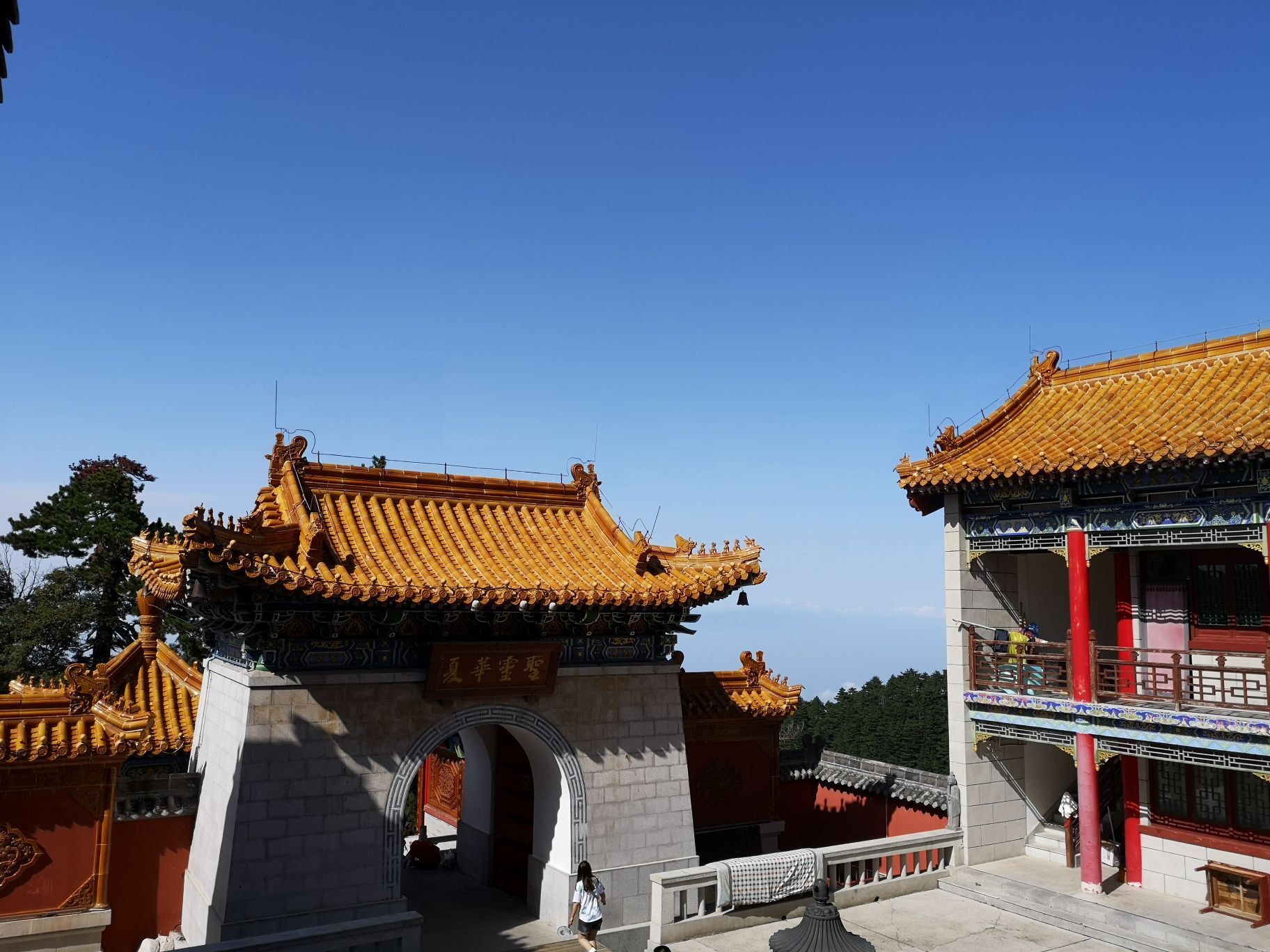 2019金天宫-旅游攻略-门票-地址-问答-游记点评,华山旅游旅游景点推荐