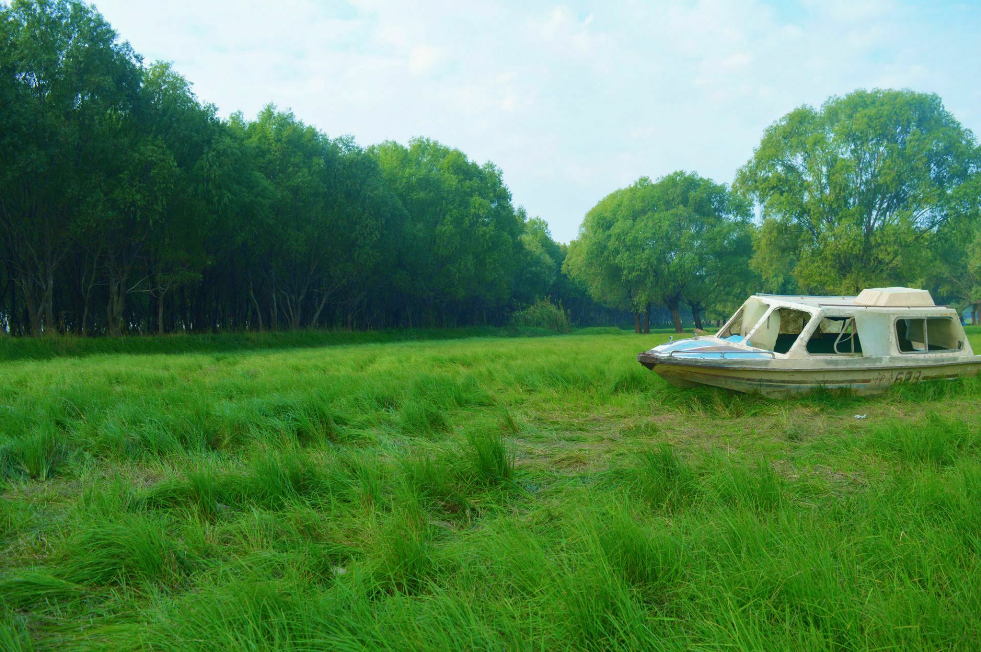 去君山岛的路边都有风景哦,银沙滩这时候特别美,适合打卡,而且不要