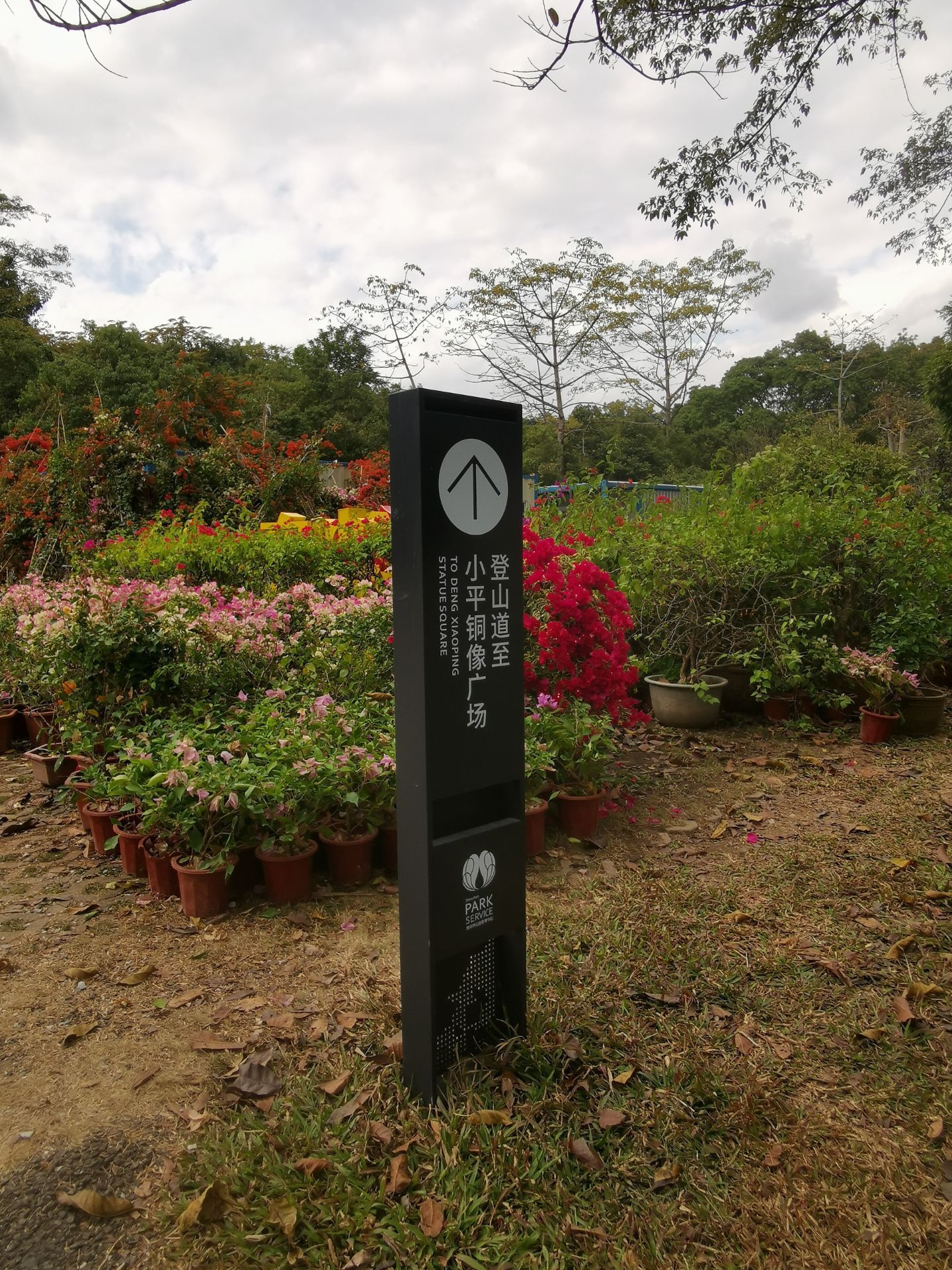 【攜程攻略】遵義蓮花山公園景點,深圳市蓮花山公園位於深圳市中心區